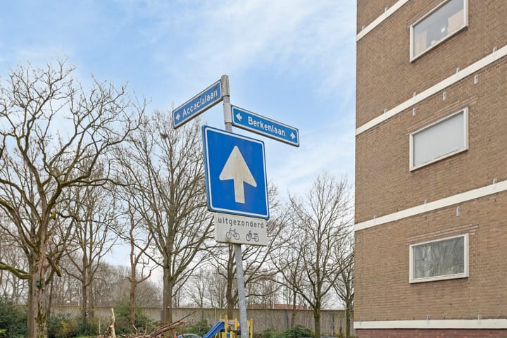 Foto 44 van Berkenlaan 5