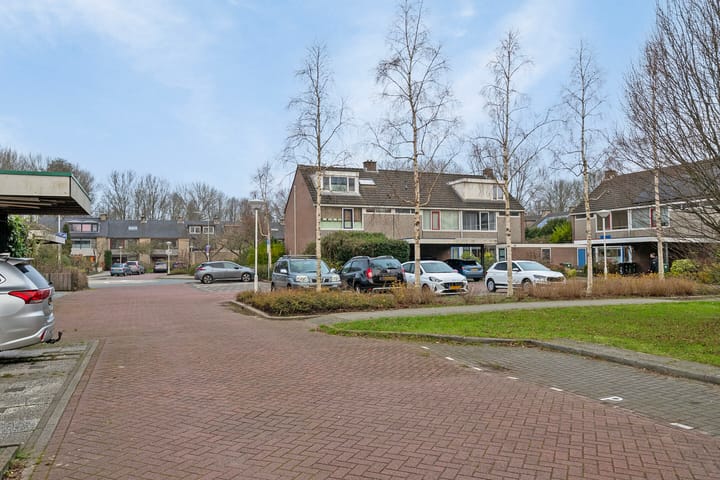 Foto 33 van Westland 21