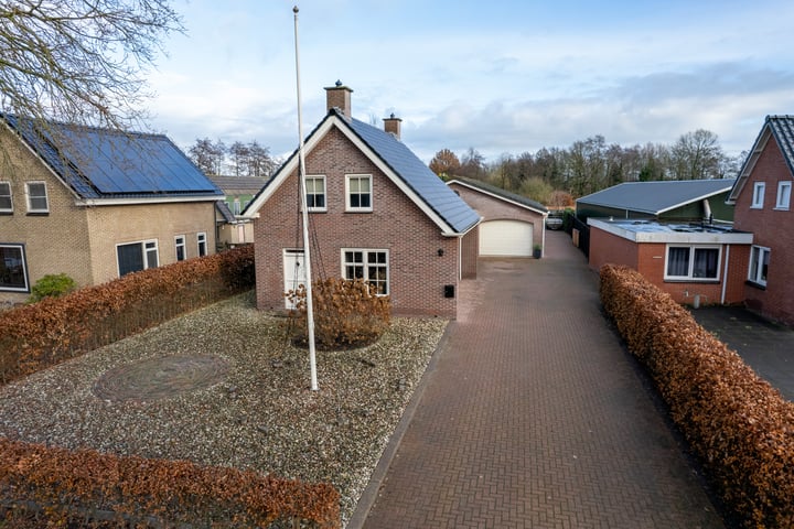 Pauloane 50