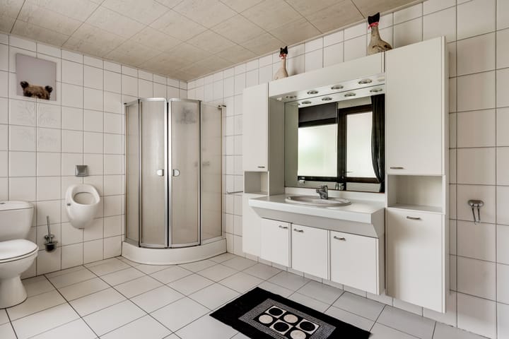 Foto 18 van Rietstraat 43-A