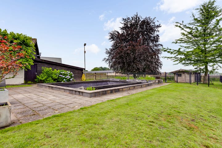 Foto 41 van Rietstraat 43-A