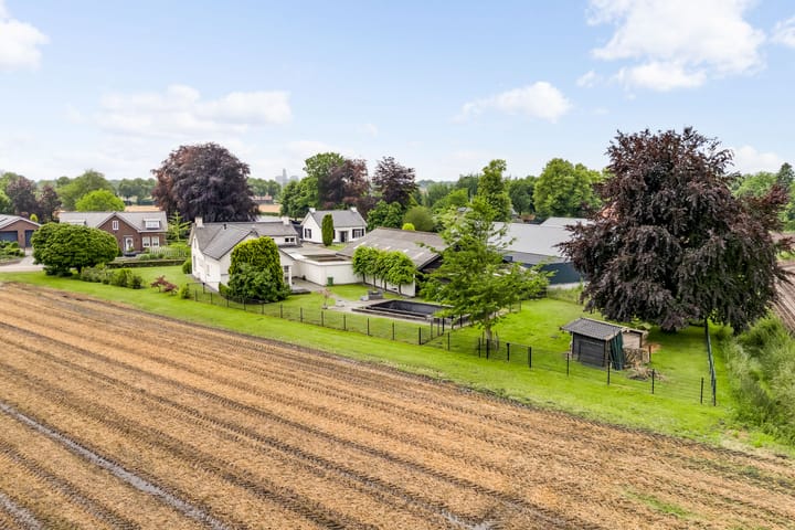 Foto 55 van Rietstraat 43-A