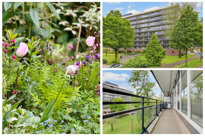 Foto 14 van Groenlinglaan 42