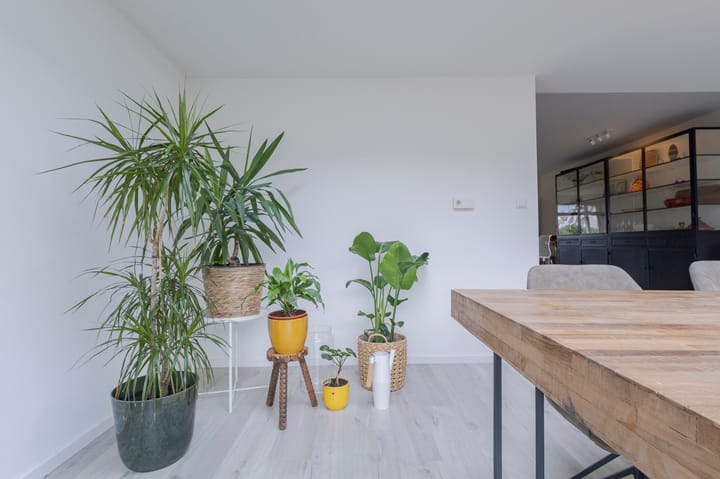 Photo 53 of Tjalk 69