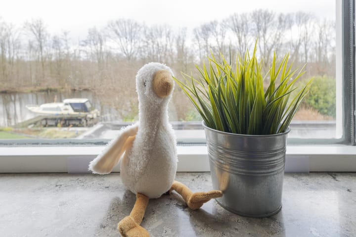 Photo 78 of Tjalk 69