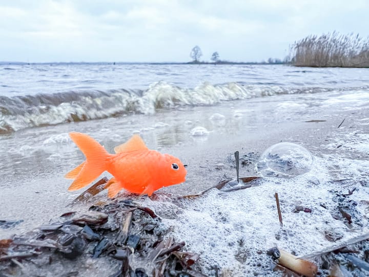 Photo 95 of Tjalk 69