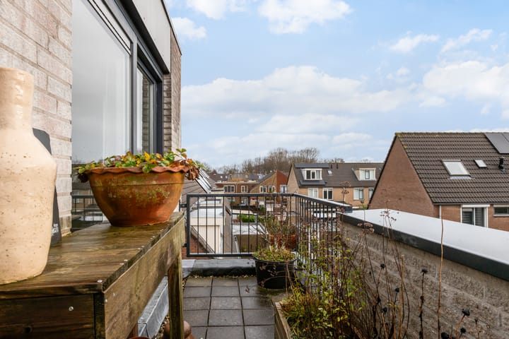 Foto 33 van Raaphorstpolderweg 28