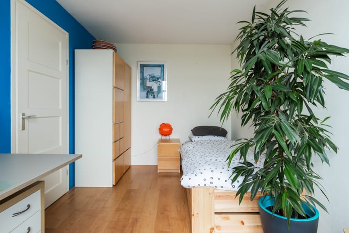 Foto 37 van Raaphorstpolderweg 28