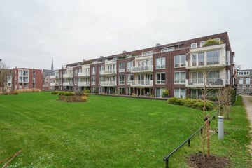 Dr. Claas Noorduijnstraat thumbnail