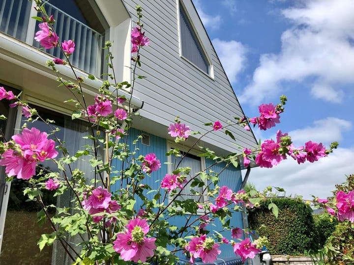 Foto 3 van Herenweg 220-A