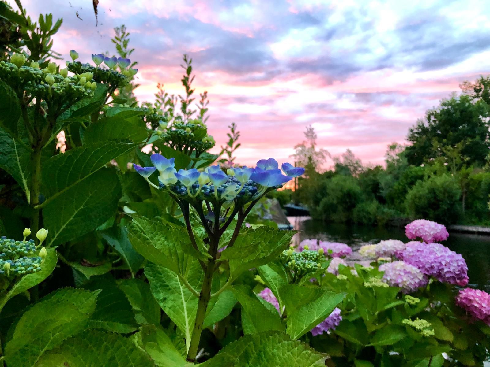 Foto 33 van Herenweg 220-A