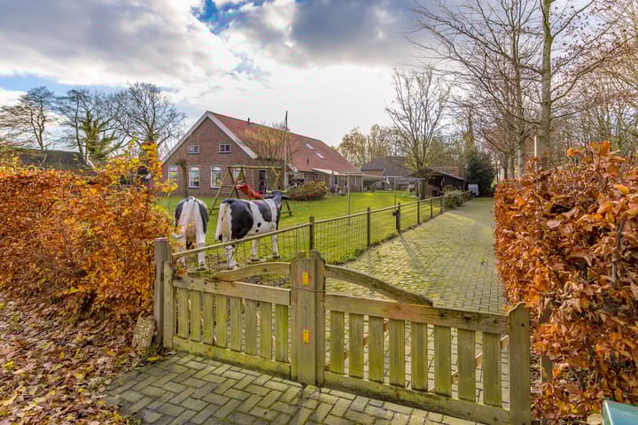 Foto 2 van Vledderhuizen 17