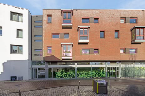 undefined main image