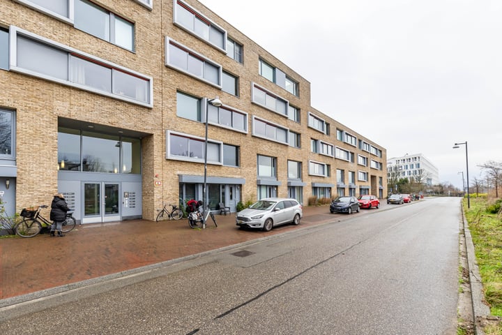 Verlengde Lodewijkstraat 198