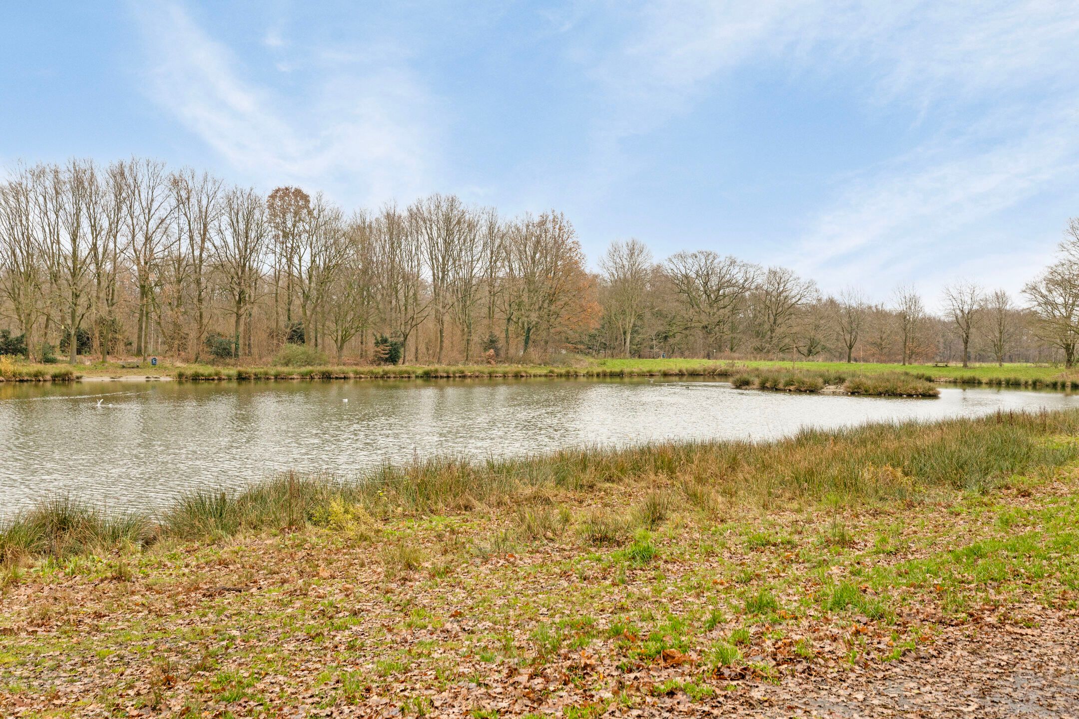 Foto 48 van Noord Esmarkerrondweg 338