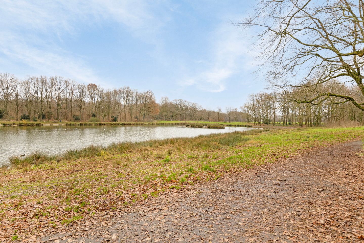 Foto 49 van Noord Esmarkerrondweg 338