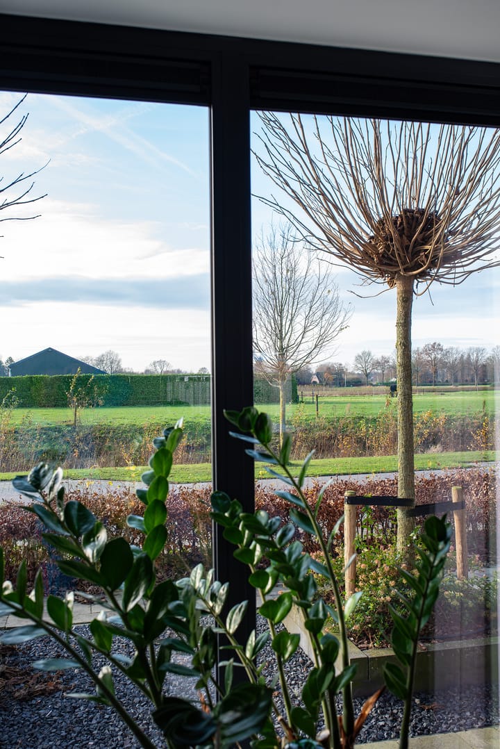 Foto 21 van Weidepracht 19