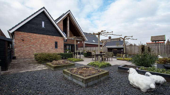 Foto 43 van Weidepracht 19