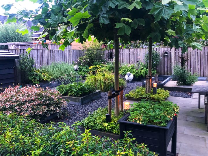 Foto 46 van Weidepracht 19