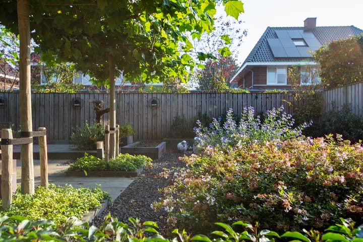 Foto 49 van Weidepracht 19