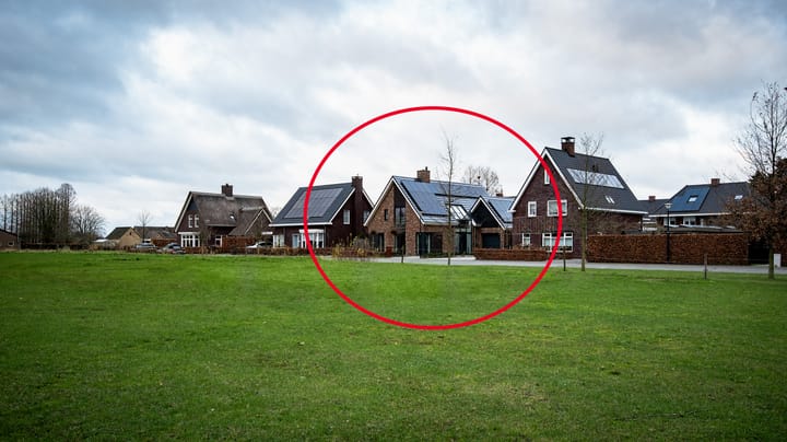 Foto 51 van Weidepracht 19