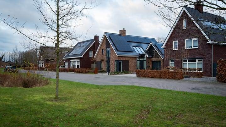 Foto 52 van Weidepracht 19