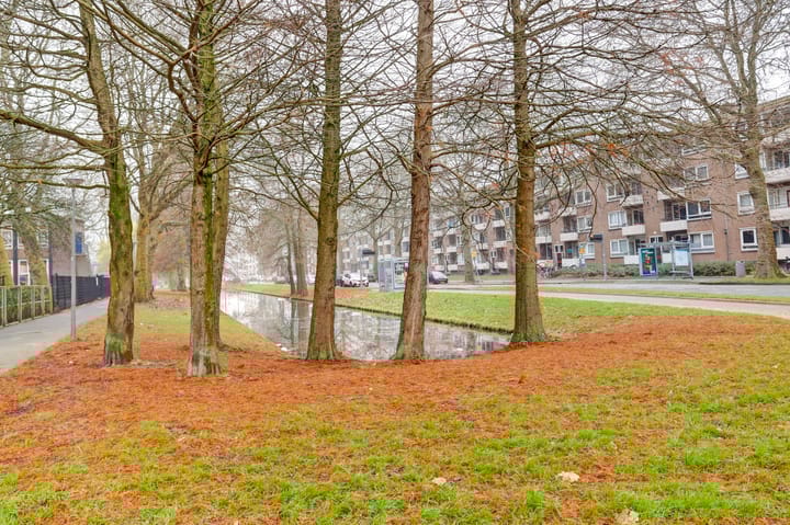 Foto 3 van Oldegaarde 674