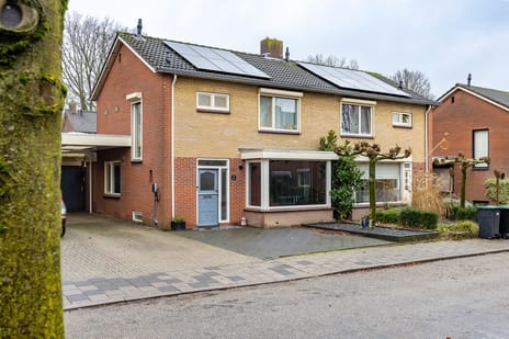 undefined main image