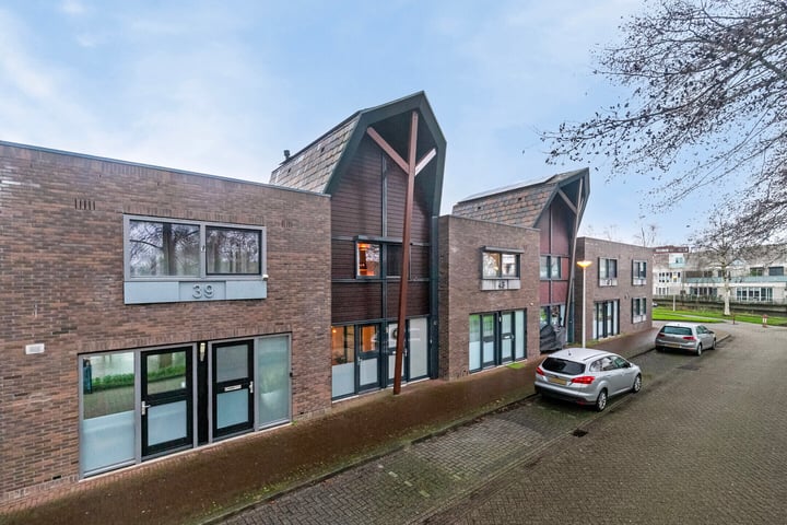 Bekijk foto 33 van Maassingel 41