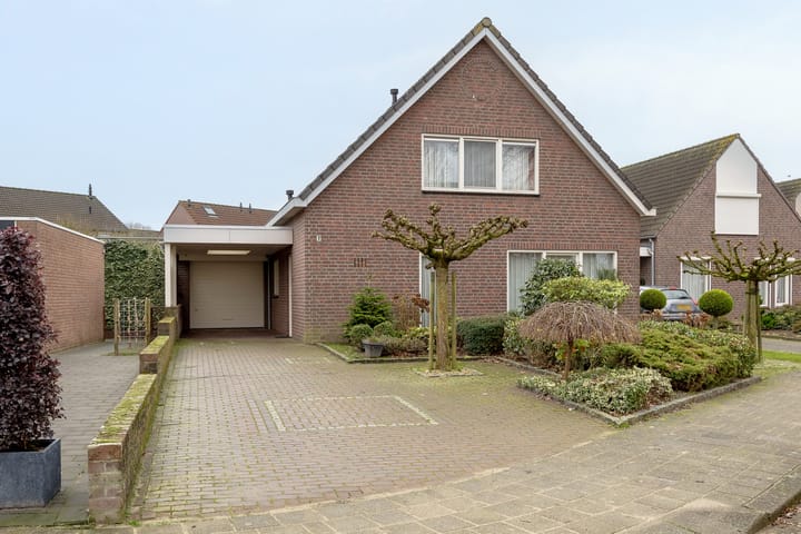 undefined main image