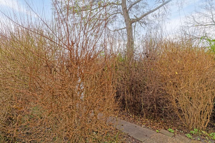 Foto 20 van Fontenellestraat 13