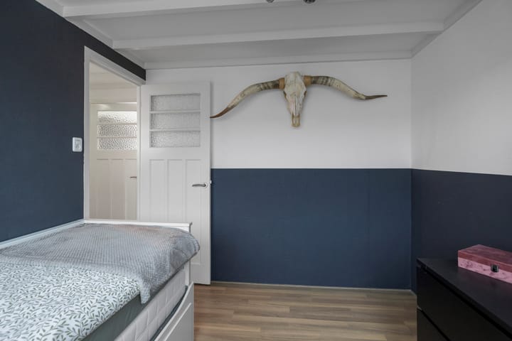 Foto 21 van Prof. Zeemanstraat 21