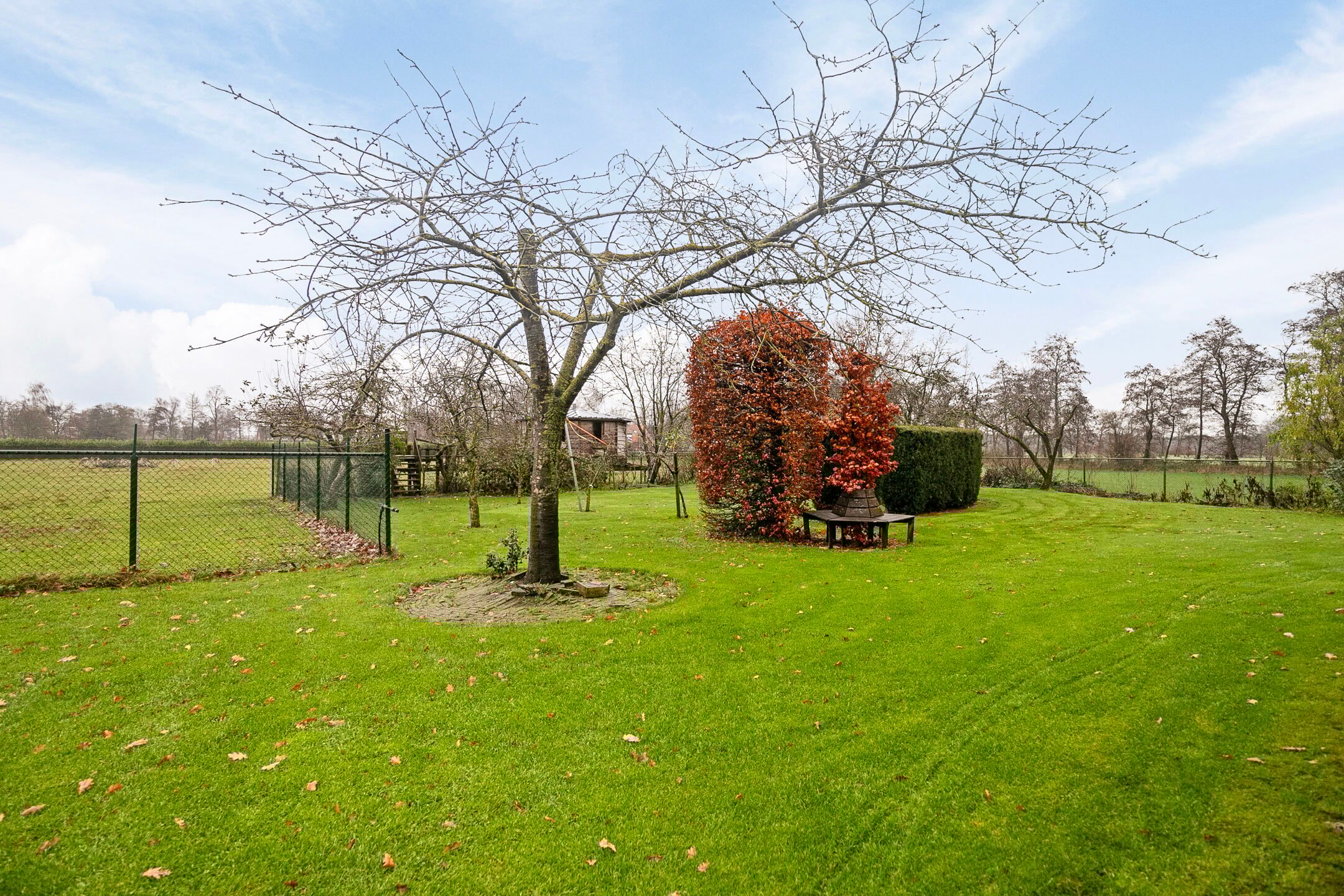 Photo 18 of Tipweg 72