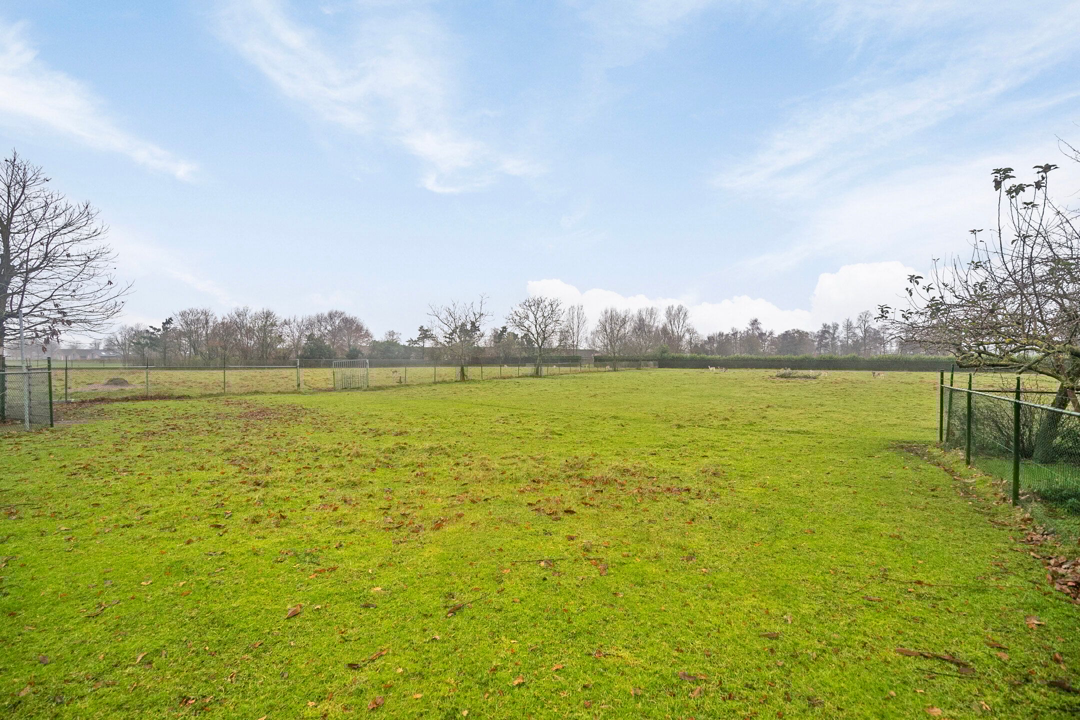 Photo 63 of Tipweg 72