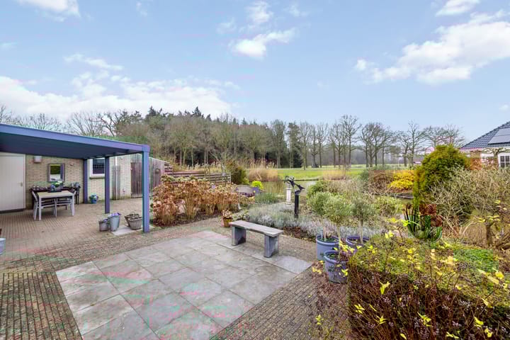 Foto 43 van Pimpernel 14