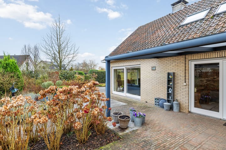 Foto 45 van Pimpernel 14