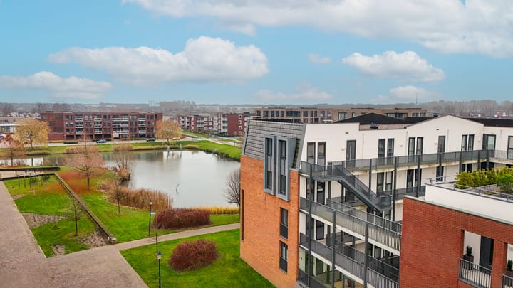 Foto 2 van Bergeend 50