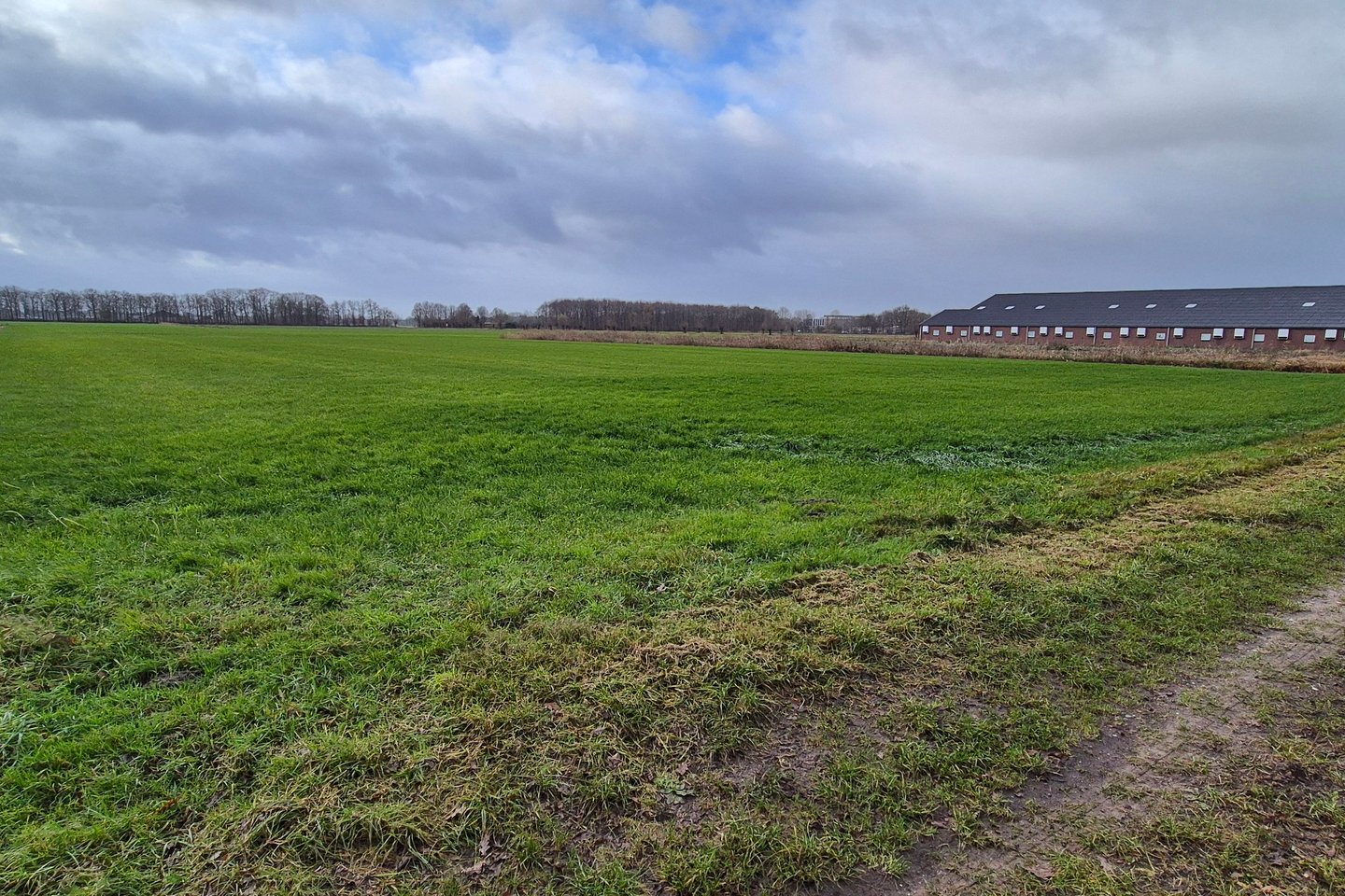 Bekijk foto 3 van Loosbroeksestraat