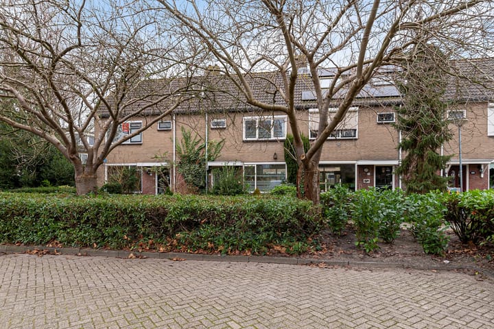 Foto 5 van Johan Pipoplantsoen 17