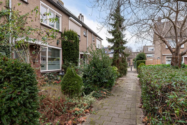 Foto 7 van Johan Pipoplantsoen 17