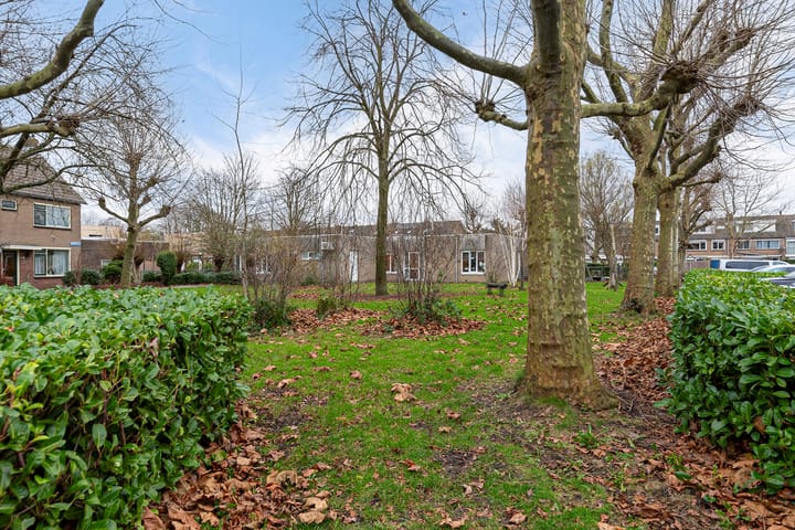 Foto 8 van Johan Pipoplantsoen 17