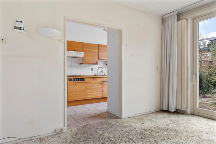 Foto 16 van Johan Pipoplantsoen 17