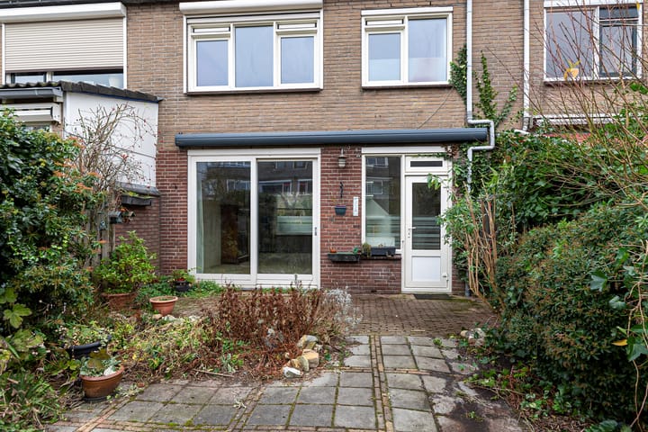 Foto 20 van Johan Pipoplantsoen 17