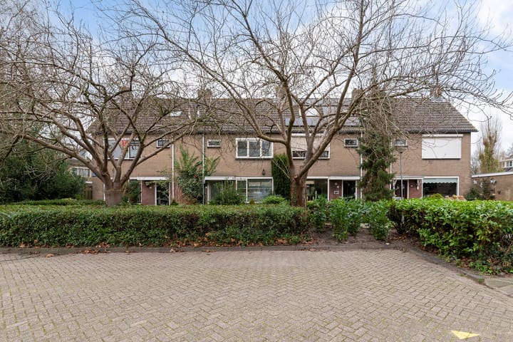 Foto 38 van Johan Pipoplantsoen 17