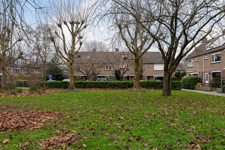 Foto 39 van Johan Pipoplantsoen 17