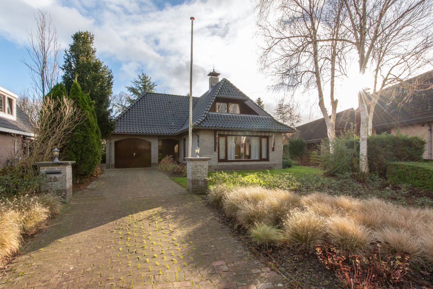 Foto 1 van Leeuwetand 19