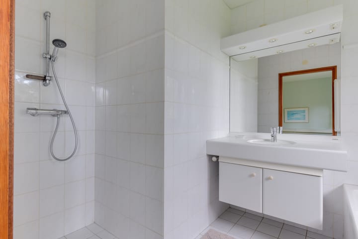 Foto 5 van Leeuwetand 19