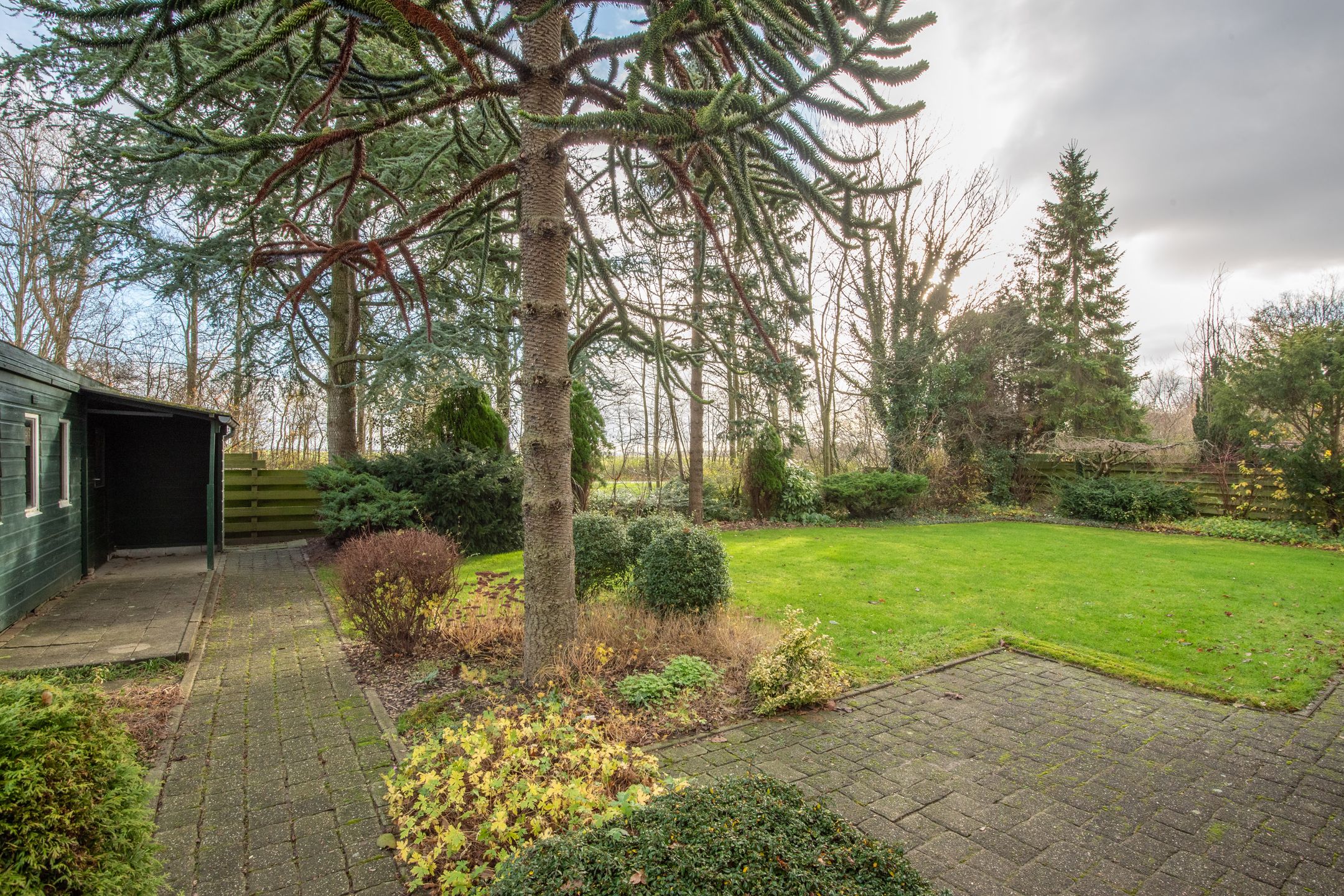 Foto 6 van Leeuwetand 19