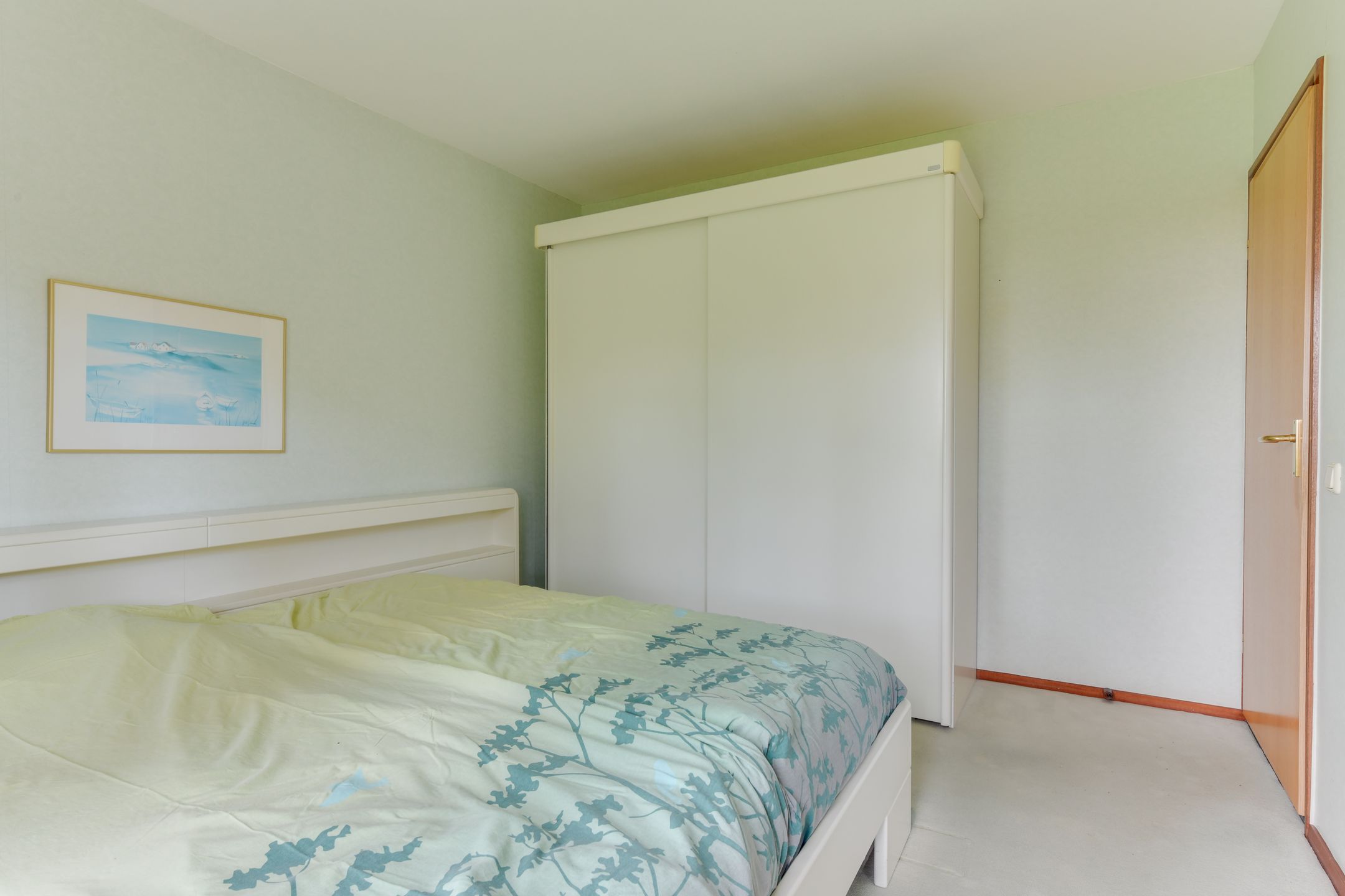 Foto 18 van Leeuwetand 19