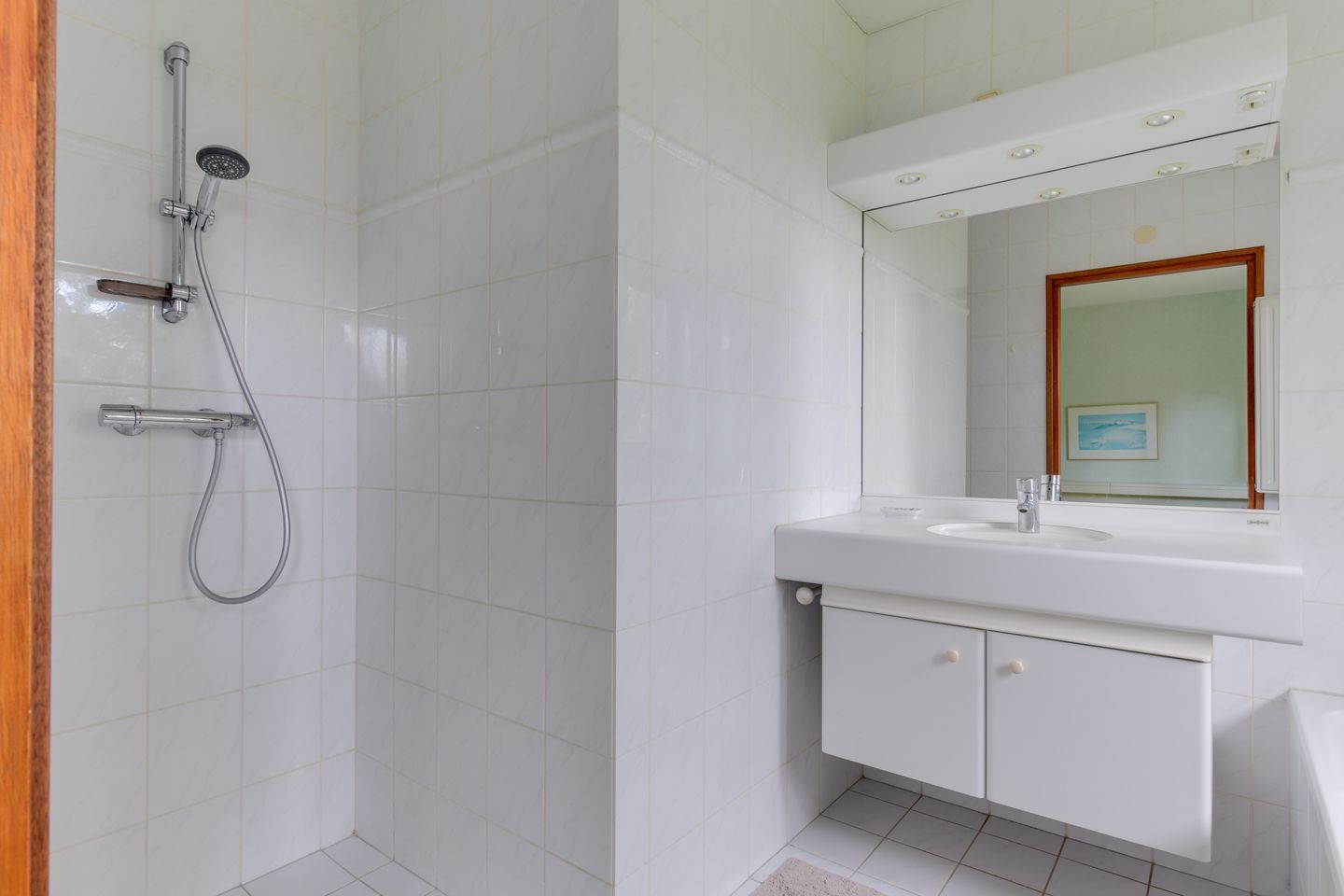 Foto 20 van Leeuwetand 19